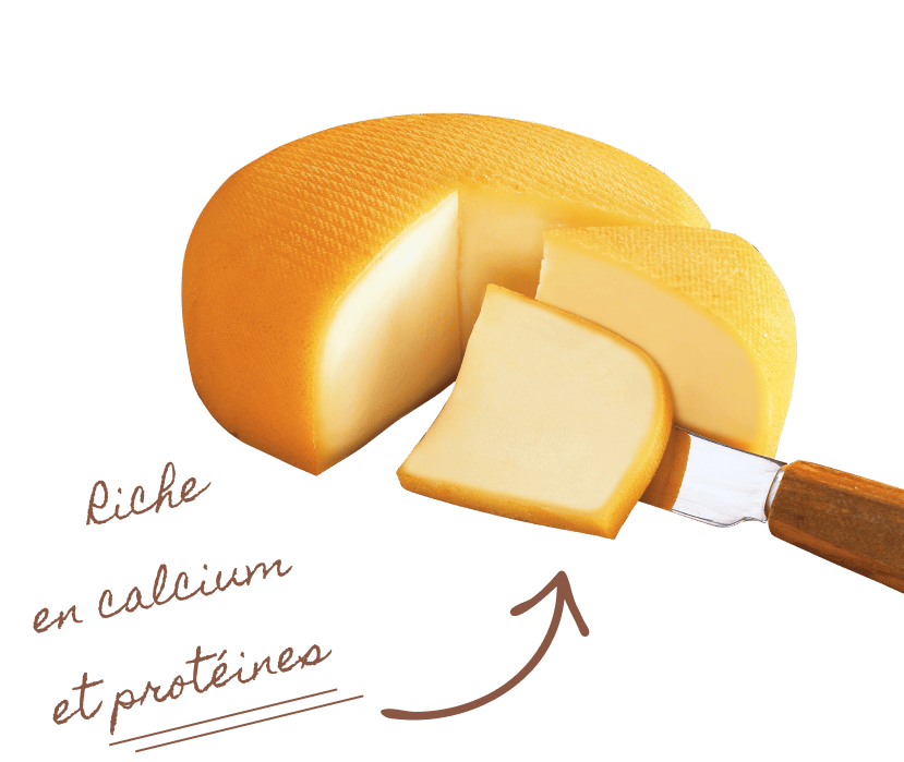 Des bons <strong>nutriments</strong>